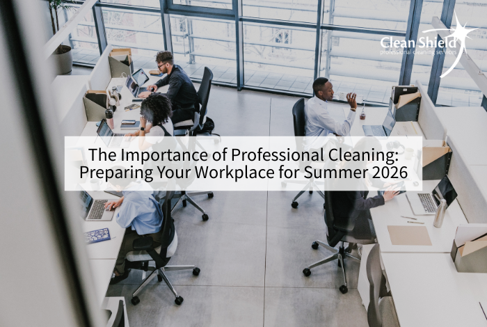 Professional Cleaning